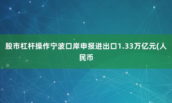 股市杠杆操作宁波口岸申报进出口1.33万亿元(人民币