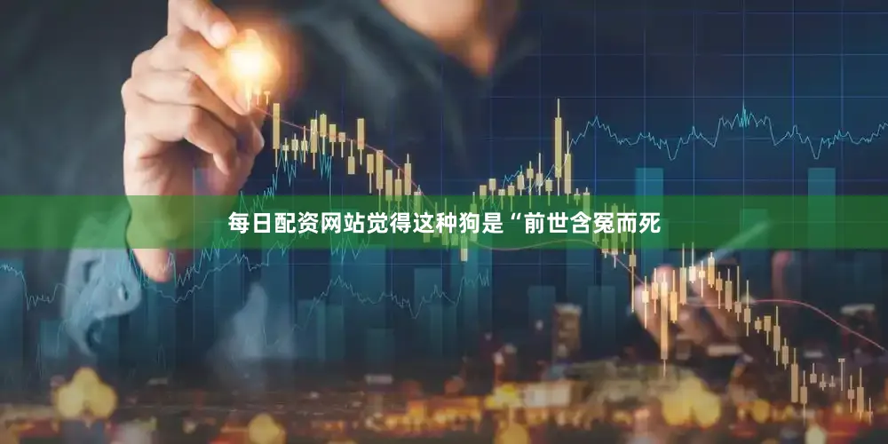 每日配资网站觉得这种狗是“前世含冤而死